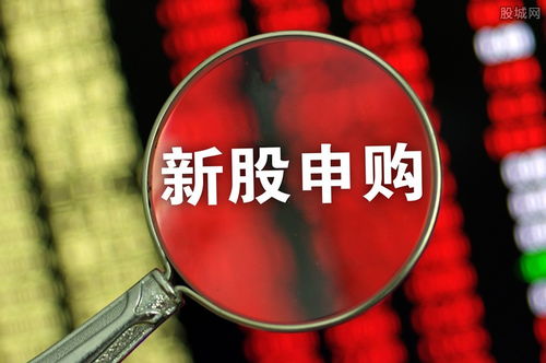 愛威科技今日開啟申購，單一賬戶上限4000股，專注網絡技術軟件研發與銷售